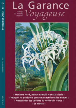 n°101, printemps 2013