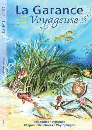 n°126,  été 2019