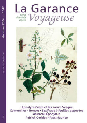 n°147, Automne 2024