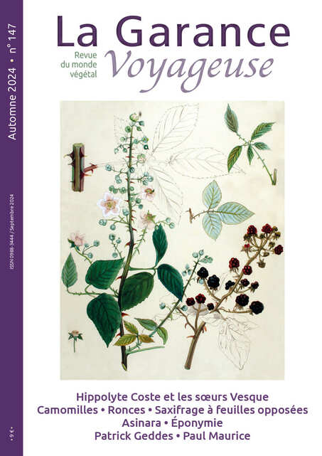 n°147, Automne 2024