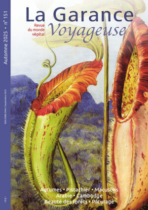 n°151, Automne 2025