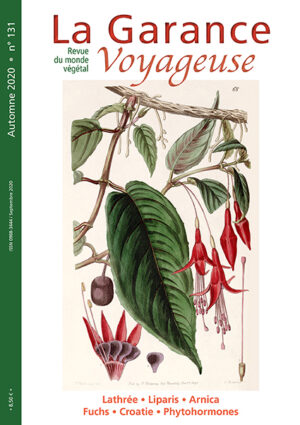 n°131, automne 2020