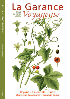 n°133, printemps 2021