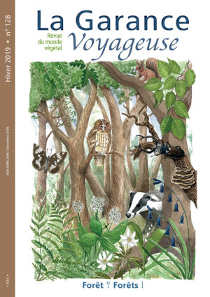 n°128,  hiver 2019