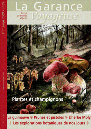 n°85, Printemps 2009