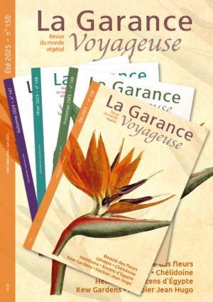 Abonnement 1 an France