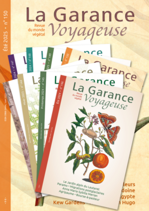 Abonnement 2 ans (tous pays hors France)