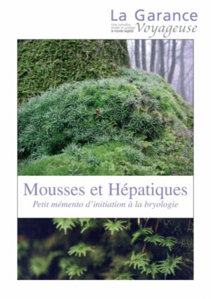 Mousses et Hépatiques : petit mémento d’initiation à la bryologie